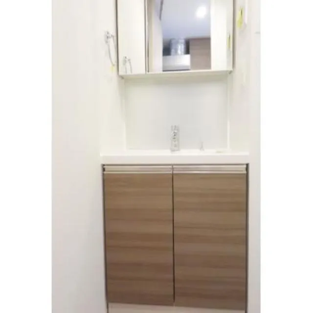 Urbanex Fukagawa Sumiyoshi - Interior - ["Mirror", "Sink", "Cabinetry"]