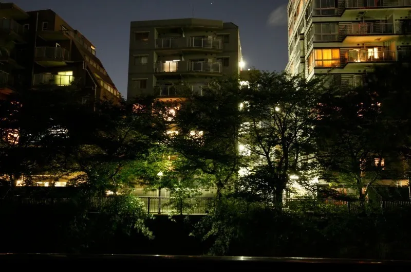 Castalia Meguro - Other - ["Building", "Night", "City"]