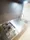 Residia Meguro Ⅳ - Interior - ["Kitchen sink", "Sink", "Countertop"] thumbnail