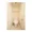 Comforia Kasuga Tomisaka - Interior - ["Toilet", "Toilet seat", "Plumbing fixture"] thumbnail