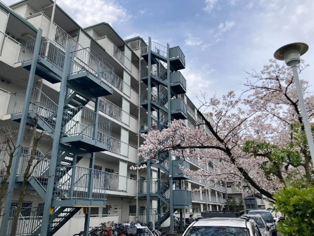 Gyotoku White Heights