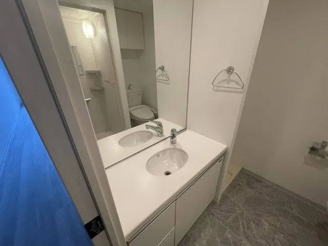 Geoluminous - Interior - ["Plumbing fixture", "Flooring", "Bathroom Sink"]