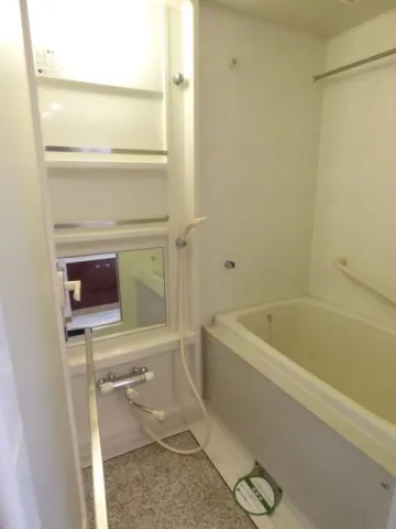 Towa Roppongi Homes - Interior - ["Flooring", "Floor", "Plumbing fixture"]