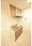 Le Coeur Shibuya Honmachi - Interior - ["Flooring", "Floor", "Wood flooring"] thumbnail