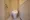 Castalia Togoshi - Interior - ["Toilet seat", "Toilet", "Plumbing fixture"] thumbnail