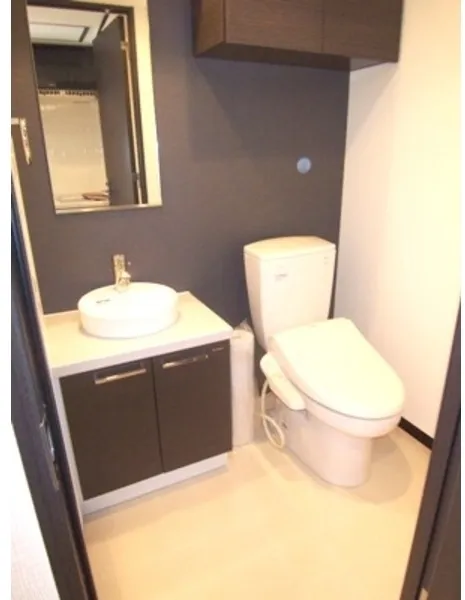 Premium Minowa - Interior - ["Toilet seat", "Plumbing fixture", "Bathroom Sink"]