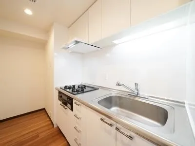 Roppongi View Tower - Interior - ["Property", "Room", "Sink"]