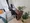 Mynavi STAY Higashioi - Interior - ["Furniture", "Interior design", "Flooring"] thumbnail