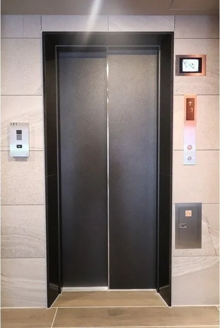 Camellia - Other - ["Handle", "Door", "Rectangle"]