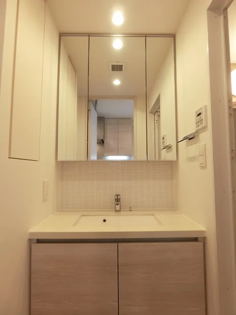 The Park Habio Iidabashi Place - Interior - ["Mirror", "Cabinetry", "Bathroom cabinet"]