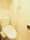 Residia Nakameguro Ⅲ - Interior - ["Toilet seat", "Plumbing fixture", "Bathroom"] thumbnail