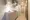 Proud Flat Togoshi Park - Interior - ["Apartment", "Wood flooring", "Cabinetry"] thumbnail