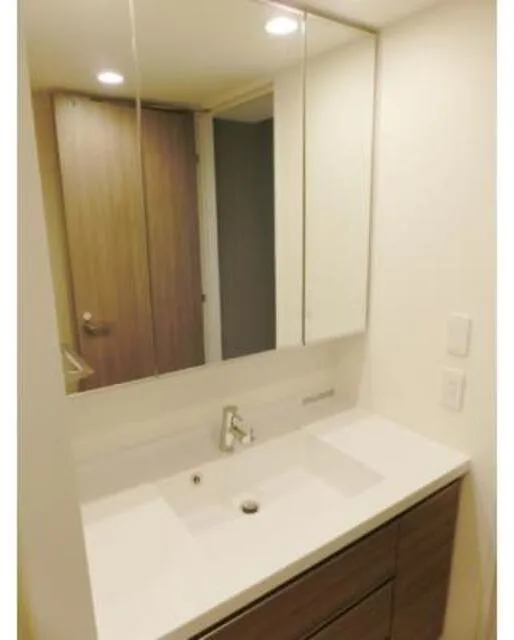 Park Axis Toyosu Canal - Interior - ["Bathroom Sink", "Flooring", "Floor"]