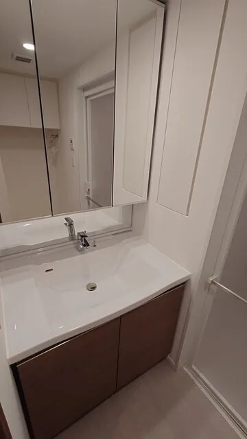 Park Tower Kachidoki South Building - Interior - ["Flooring", "Bathroom Sink", "Floor"]