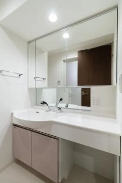 SASAZUKA TODAY - Interior - ["Bathroom Sink", "Plumbing fixture", "Interior design"]