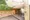 La Colline Jingumae - Exterior - ["Plant", "Architecture", "Brick"] thumbnail
