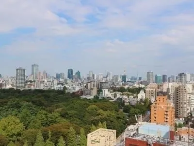 Across Meguro Tower - Interior - ["Sky", "Urban area", "Daytime"]