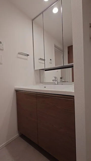 Park Tower Kachidoki South Building - Interior - ["Bathroom Sink", "Flooring", "Floor"]