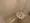 Wellhouse Hiroo - Interior - ["Plumbing fixture", "Flooring", "Floor"] thumbnail