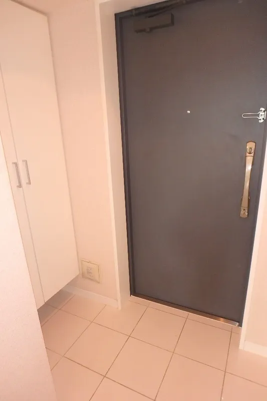 TLR Residence Ryogoku - Interior - ["Wood", "Wood stain", "Plywood"]