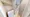 Hmlet Koenji II - Interior - ["Flooring", "Floor", "Interior design"] thumbnail