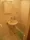 JAPT Komazawa - Interior - ["Bathroom", "Toilet", "Plumbing fixture"] thumbnail