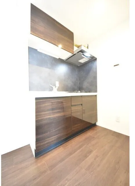 Grand Paseo Nakameguro II - Interior - ["Wood", "Flooring", "Floor"]