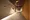 Lefond Progres Yotsuya - Exterior - ["Rectangle", "Floor", "Flooring"] thumbnail