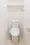 Comforia Takenotsuka East - Interior - ["Toilet seat", "Toilet", "Plumbing fixture"] thumbnail