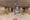 Residia Ryogoku - Exterior - ["Flooring", "Floor", "Ceiling"] thumbnail