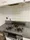 Famille Hisakata - Interior - ["Kitchen stove", "Major appliance", "Kitchen Appliance"] thumbnail