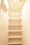 Predia Court Yoyogi Uehara - Interior - ["Shelf", "Shelving", "Wood"] thumbnail