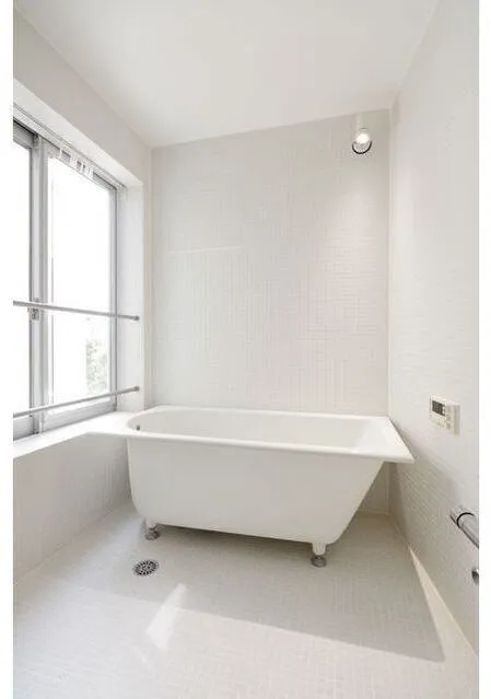 Treform - Interior - ["Plumbing fixture", "Window", "Bathtub"]