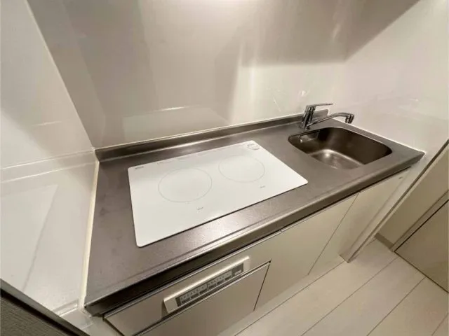 Segrate Nihonbashi - Interior - ["Kitchen Sink", "Silver", "Plumbing fixture"]