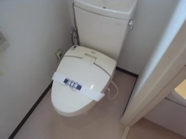Owl Square - Interior - ["Plumbing fixture", "Toilet seat", "Toilet"]
