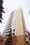 Forest Town Sangubashi - Exterior - ["Condominium", "Building", "Property"] thumbnail