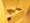 Le Fon Blanche Shinagawa Minamioi - Interior - ["Floor", "Flooring", "Apartment"] thumbnail