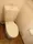 GRACE Omori - Interior - ["Toilet seat", "Toilet", "Bathroom"] thumbnail