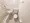 Mynavi STAY Palace Kachidoki - Interior - ["Plumbing fixture", "Bathroom", "Plumbing"] thumbnail