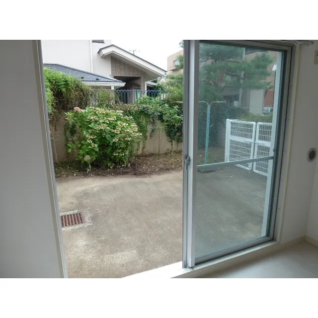 Sanc Terrace II - Interior - ["Plant", "Window", "Building"]
