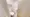 Hmlet Kinshicho II - Interior - ["Flooring", "Floor", "Wood"] thumbnail