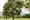 Prime Urban Meguro Riverfront - Exterior - [] thumbnail
