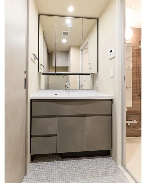 Baus Flats Kuramae - Interior - ["Bathroom Sink", "Flooring", "Sink"]