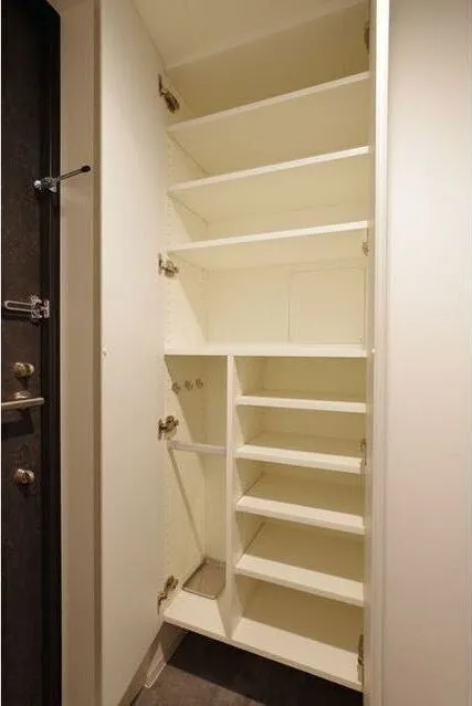 Zinnia Fudomae - Interior - ["Shelf", "Furniture", "Bookcase"]