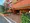 Rapport Takanawa thumbnail