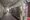 Bisheim Ikebukuro - Other - ["Apartment", "Aluminium"] thumbnail