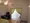 JAPT Ikejiri - Interior - ["Curtain", "Window treatment", "Room"] thumbnail