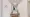 Hmlet Shinjuku Wakamatsucho - Interior - [] thumbnail