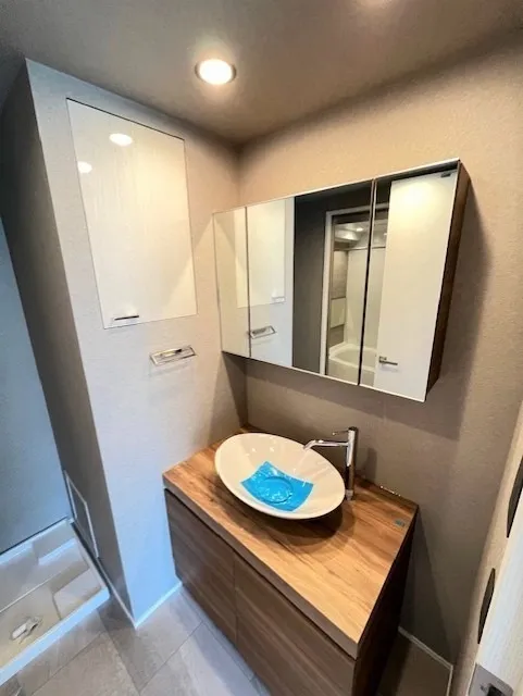 RESIDIA Tower Kami-Ikebukuro (Park Building) - Interior - ["Bathroom Sink", "Bathroom cabinet", "Wood"]