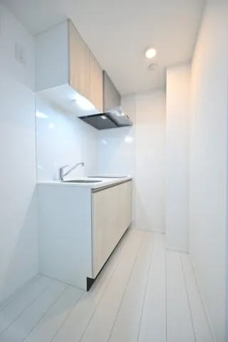 The Residence Nihonbashi - Interior - ["Flooring", "Floor", "Apartment"]
